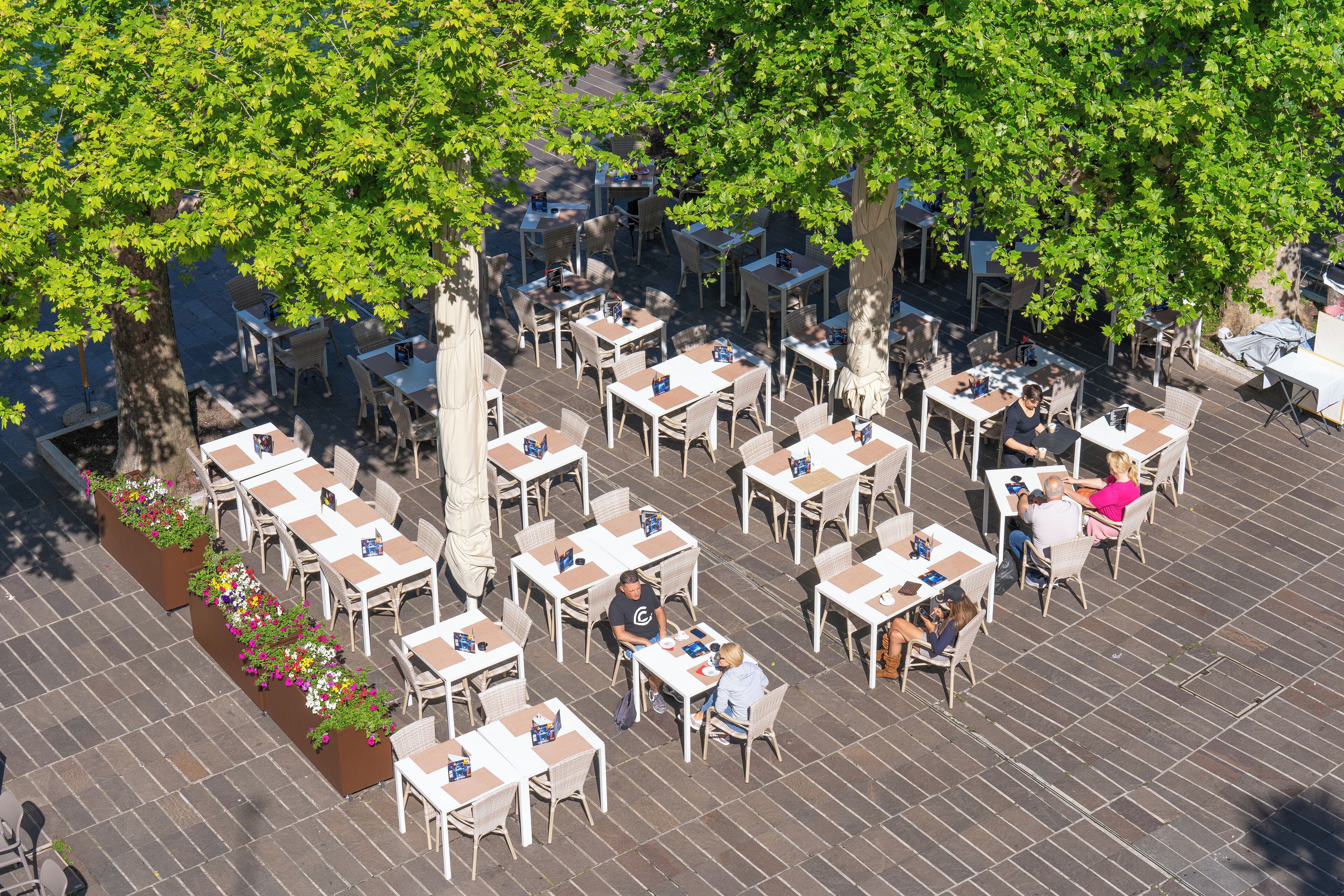 Een terras met meerdere tafels en stoelen, omringd door bomen.