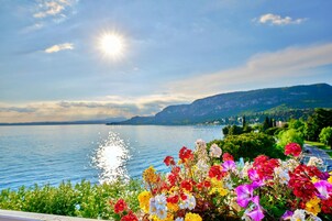 Un lago con montañas al fondo y un arreglo floral en primer plano.