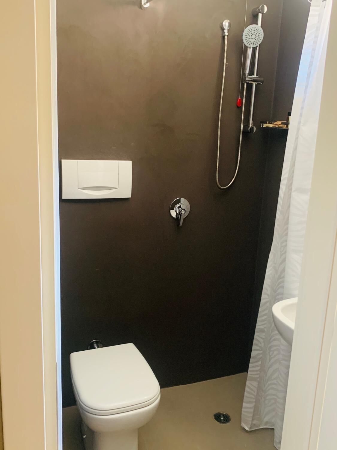 A small, dark-colored bathroom with a white toilet, a shower with a handheld showerhead, and a towel rack.