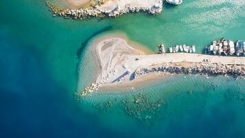 Lettini da mare