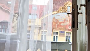 A view through a window with a white curtain, featuring a green snail on a windowsill and a building with a mural in the background. - Flowers apartments (Prague)