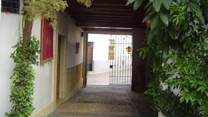 Un estrecho callejón con una entrada porticada, una planta en maceta y un paño rojo colgado en la pared.