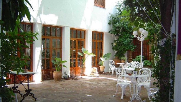 Un patio con suelo de piedra, sillas de metal blanco, una mesa y plantas en macetas.