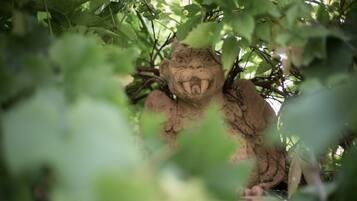 The Irishman's Cottage | View from room