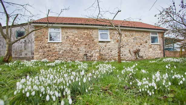 A stone building with a red-tiled roof and two windows. - Snowdrop Cottage (Knaresborough)