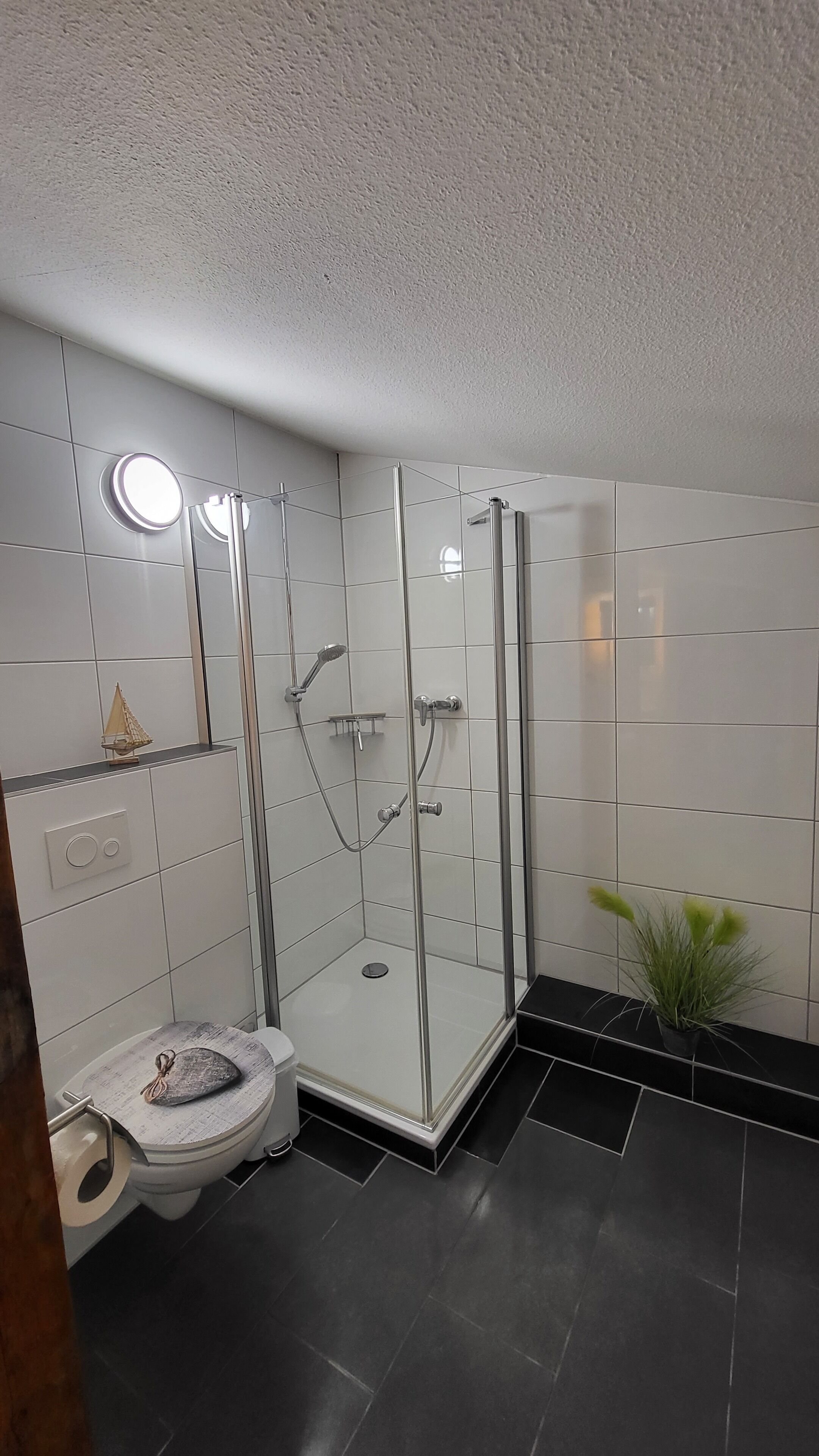 Ein modernes Badezimmer mit einer gläsernen Duschkabine, einer Toilette mit dekorativem Deckel und einem kleinen Regal mit einem Schiffsmodell.