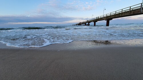 Ferienwohnung Walfisch