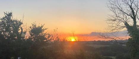 A sunset over a rural landscape with trees and a road.