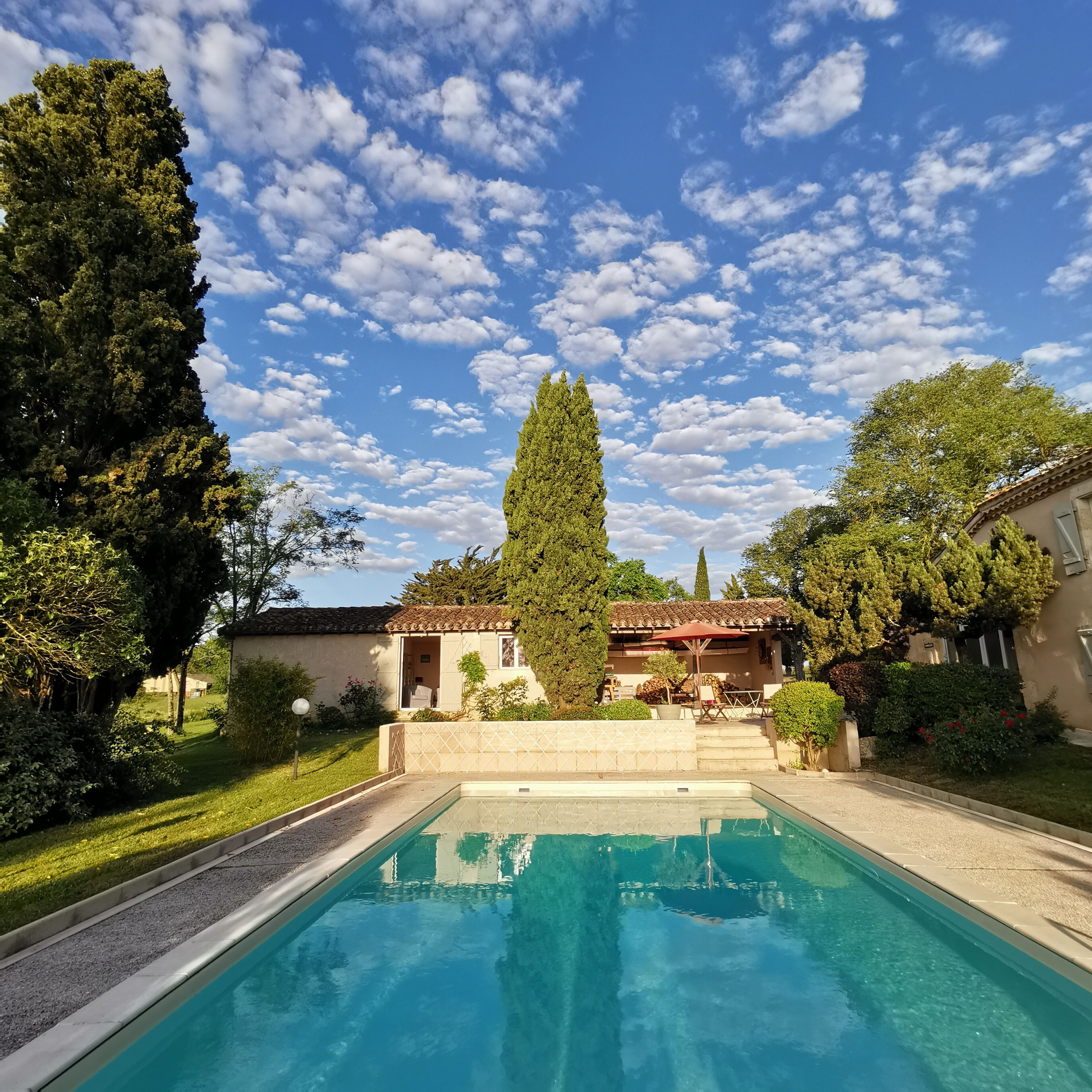 Outdoor pool, pool loungers