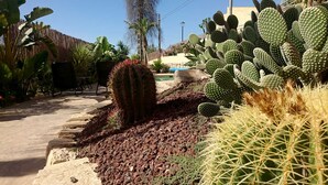 A garden with various cacti and plants, a concrete path, and a wooden fence. - Guesthouse -El campello-Alacant (El Campello)