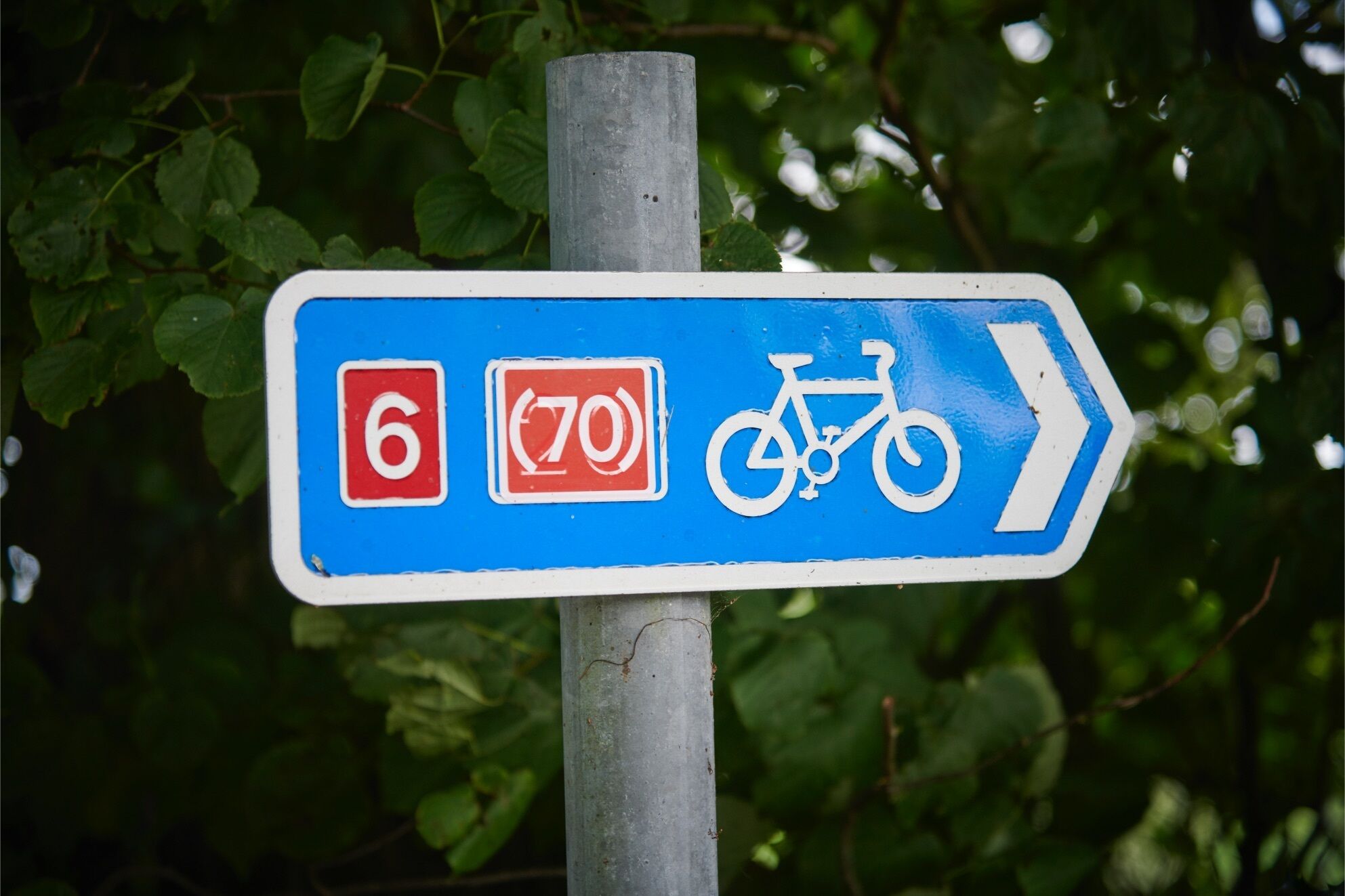 A directional sign with a bicycle symbol and a number 6.