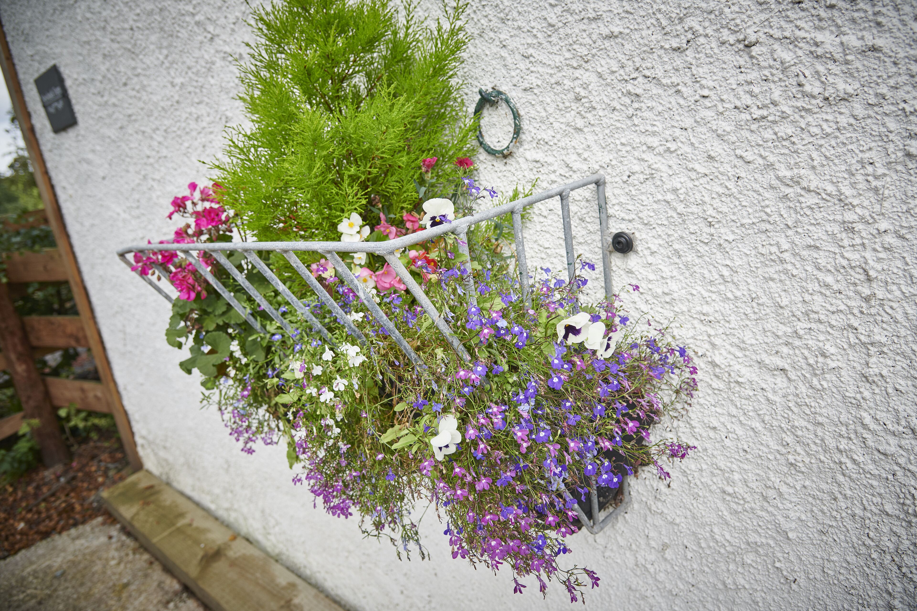 Un pot de fleurs en métal, orné de différentes fleurs et plantes vertes, est placé devant un mur blanc.