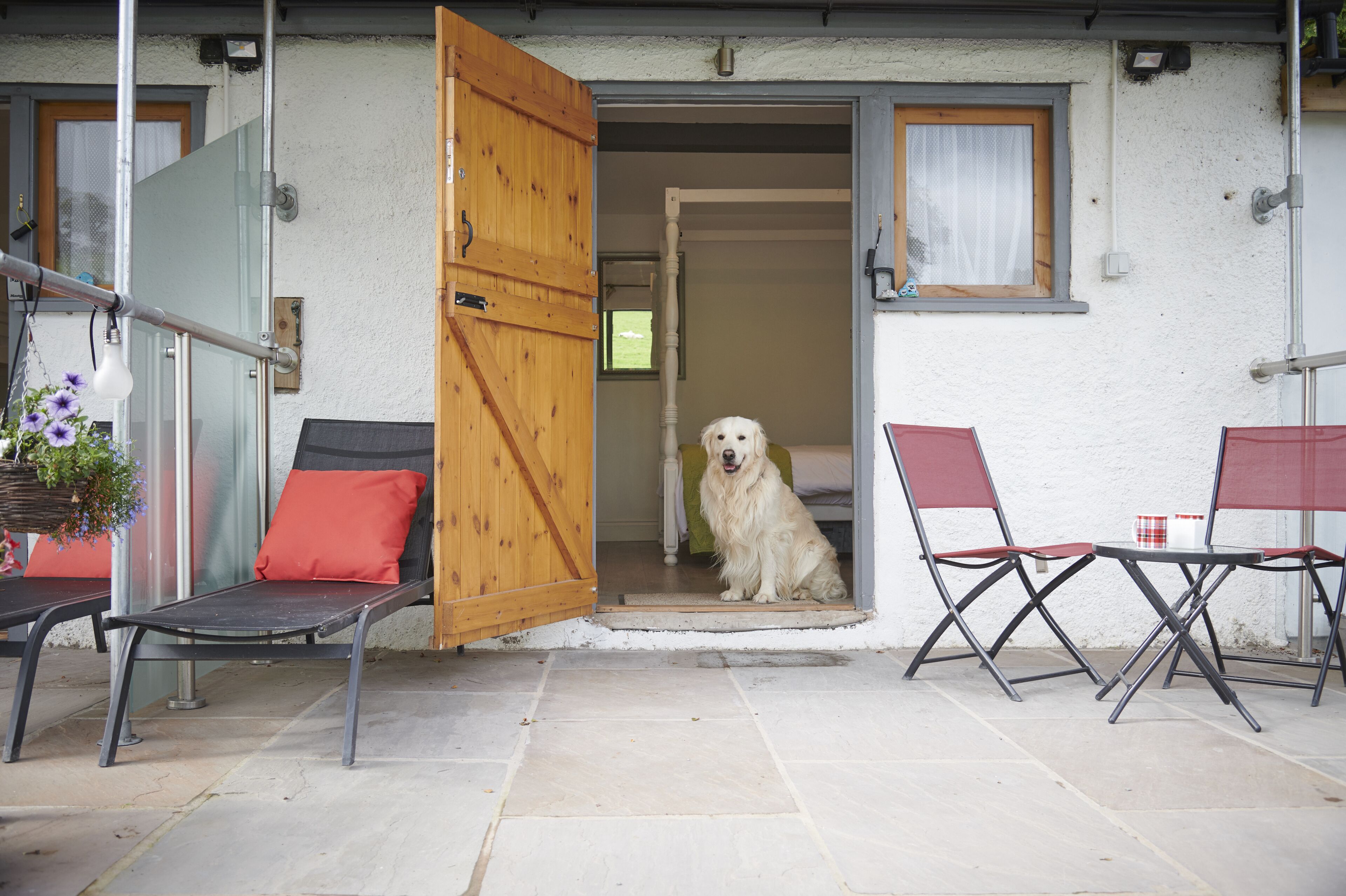 A dog sitting at the entrance of a house with a wooden door, a chair, and a table with a red cushion.