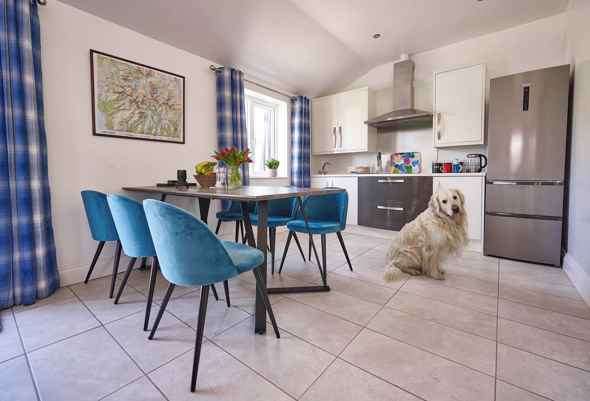 A modern kitchen with a dining area, featuring a large dog, blue chairs, and a map on the wall.