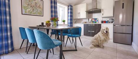 A modern kitchen with a dining area, featuring a large dog, blue chairs, and a map on the wall.