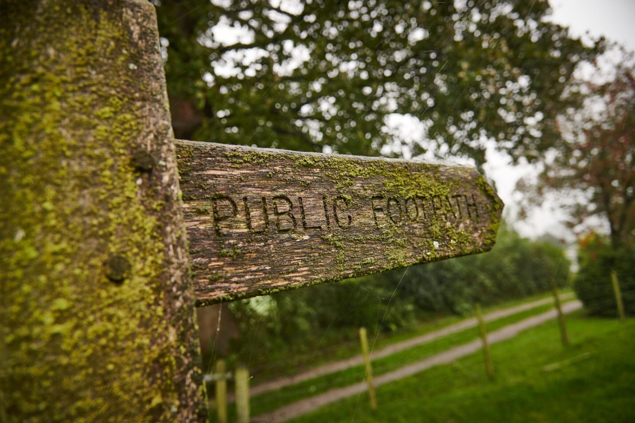 Ein hölzernes Schild mit der Aufschrift 'PUBLIC FOOTPATH' vor einer grünen Kulisse und einem Pfad.