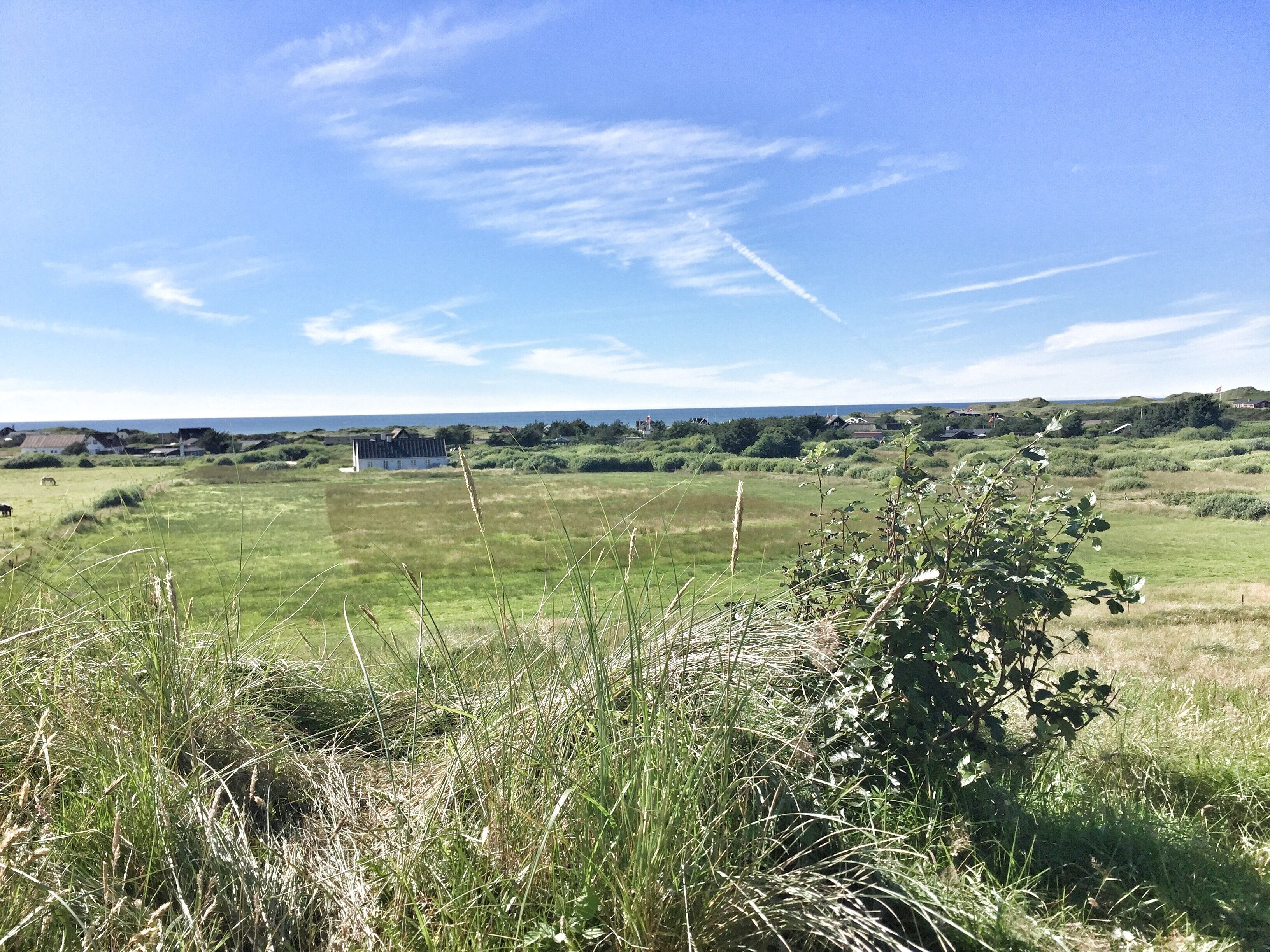 A rural landscape with a large open field, a white building, and a distant view of the sea.