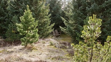 Ulkoalueet