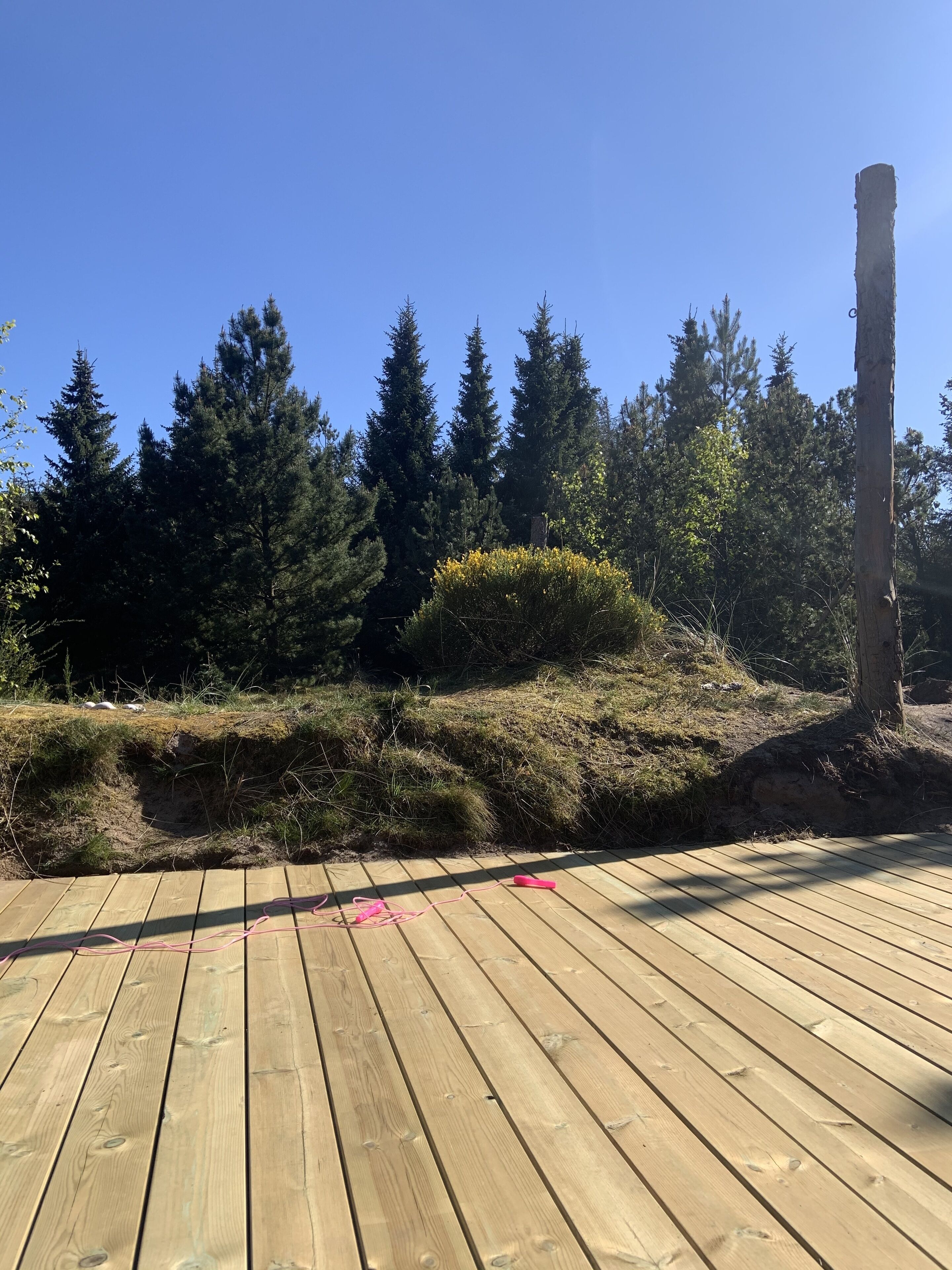 Una terraza de madera con una vista despejada del bosque circundante y un árbol alto.