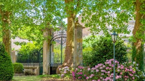 Un jardín con una reja de hierro forjado, arbustos florecientes y un farol.