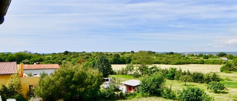 Un paysage rural avec une maison, des voitures garées et un champ.