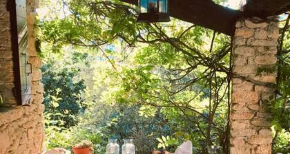 B&B en Provence - Le Mas Boissol