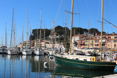Beautiful sea and garden view