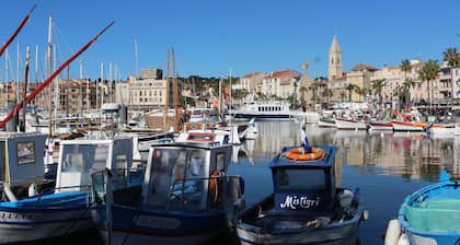 Beautiful sea and garden view