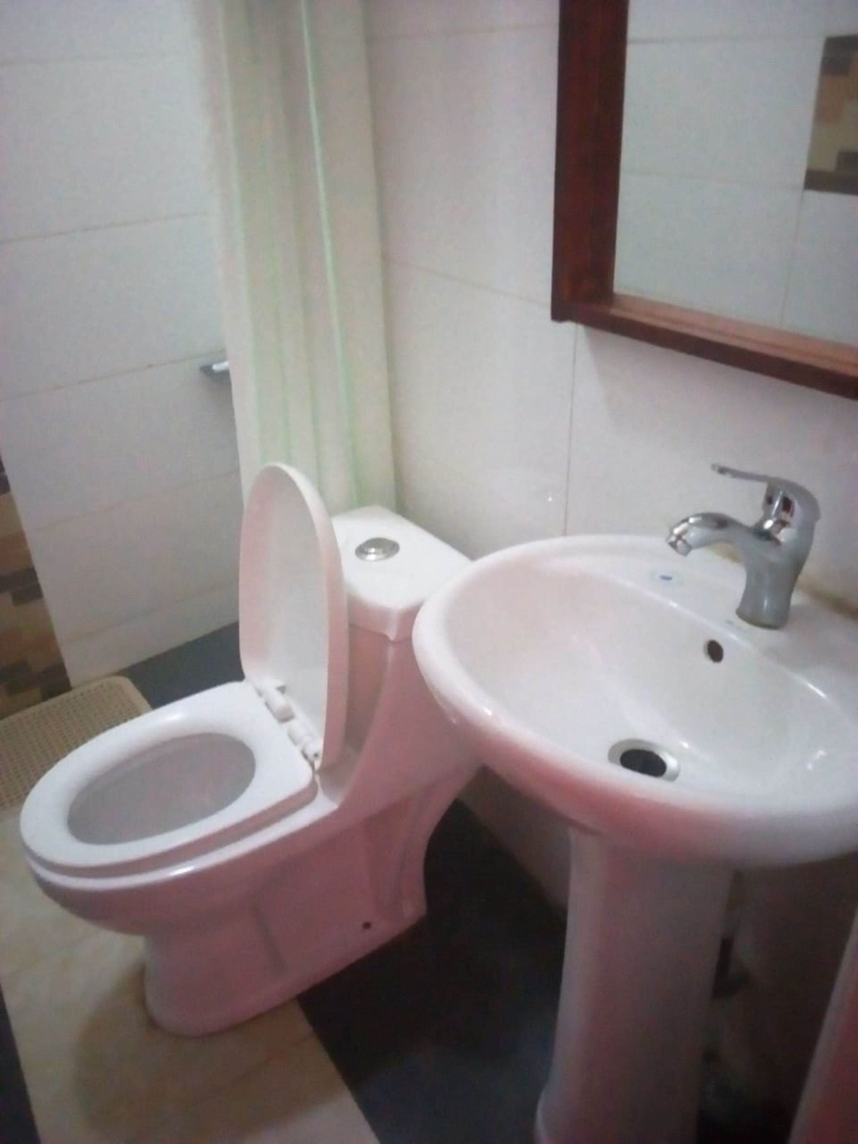 A bathroom with a toilet and a sink.