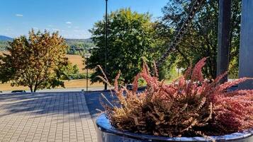 A paved walkway with a planter containing red foliage plants, a street lamp, and a view of a hilly landscape.