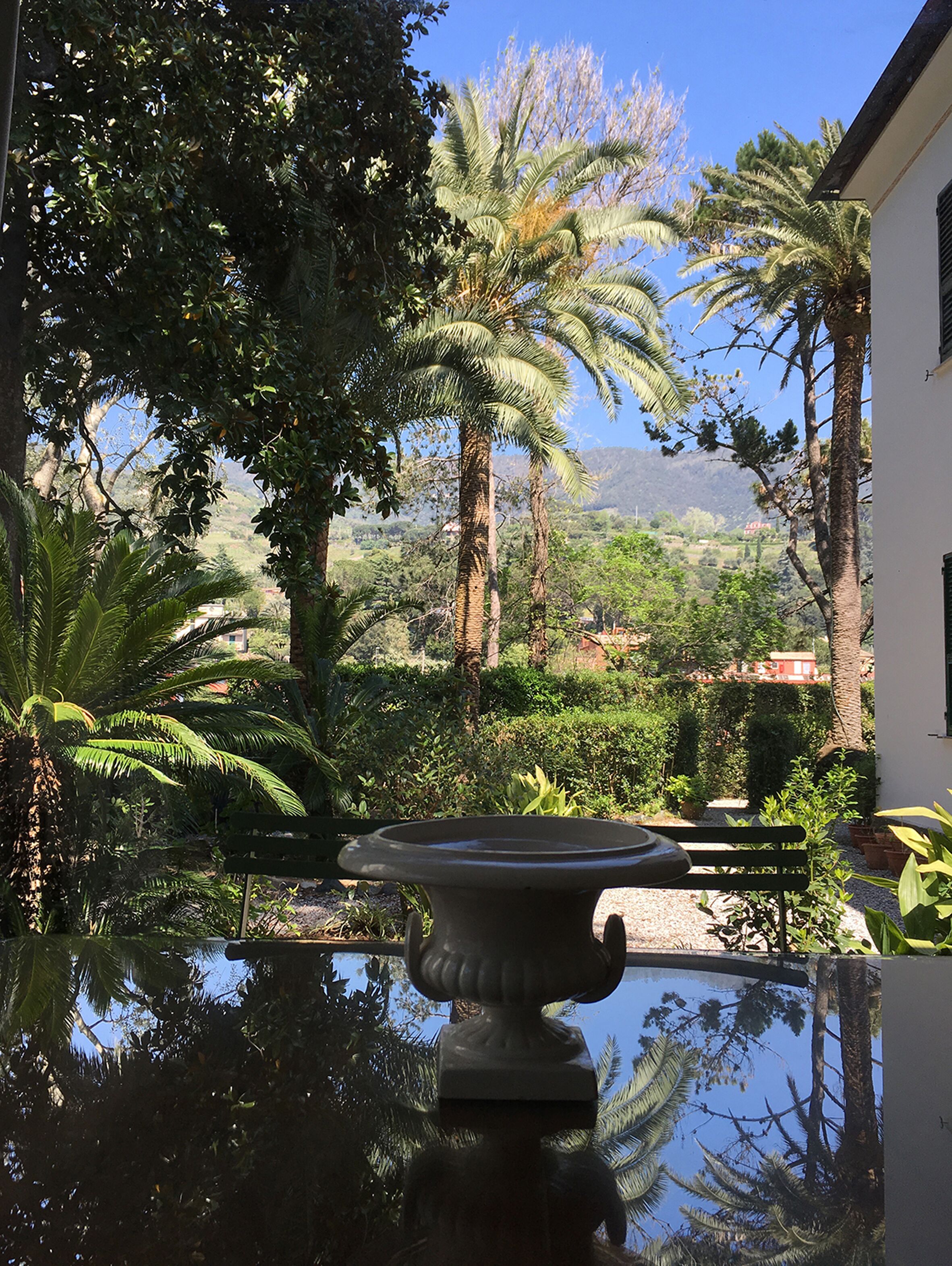 Área da propriedade