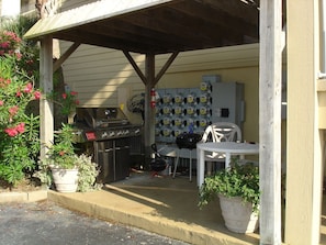 BBQ/picnic area