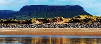 4-stjerners luksus dyrevennlig hus og separate 1-sengs leilighet på den ville atlantiske veien