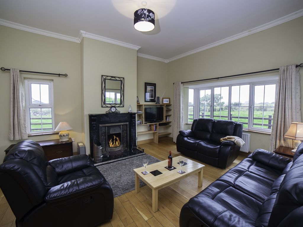 Televisión, chimenea, reproductor de DVD y libros 