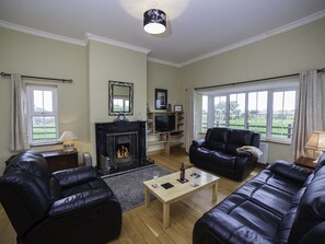 TV, fireplace, DVD player, books