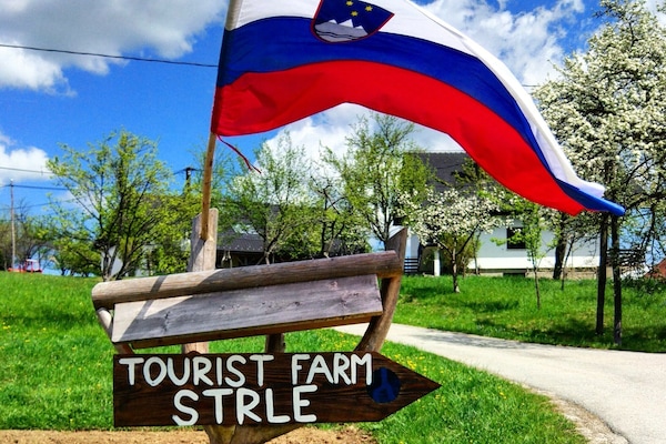 Pemandangan dari udara