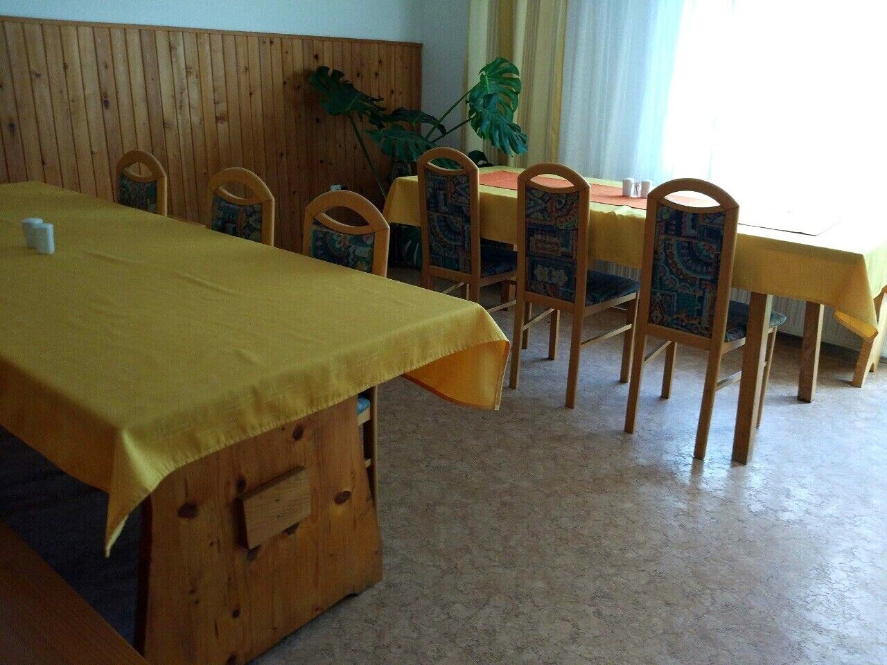 Un comedor con una mesa cubierta con mantel amarillo, sillas de madera con cojines estampados y una planta grande al fondo.