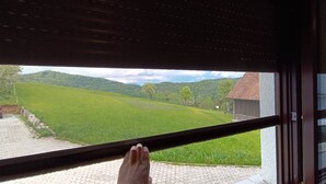 A window view of a green landscape with a wooden building.