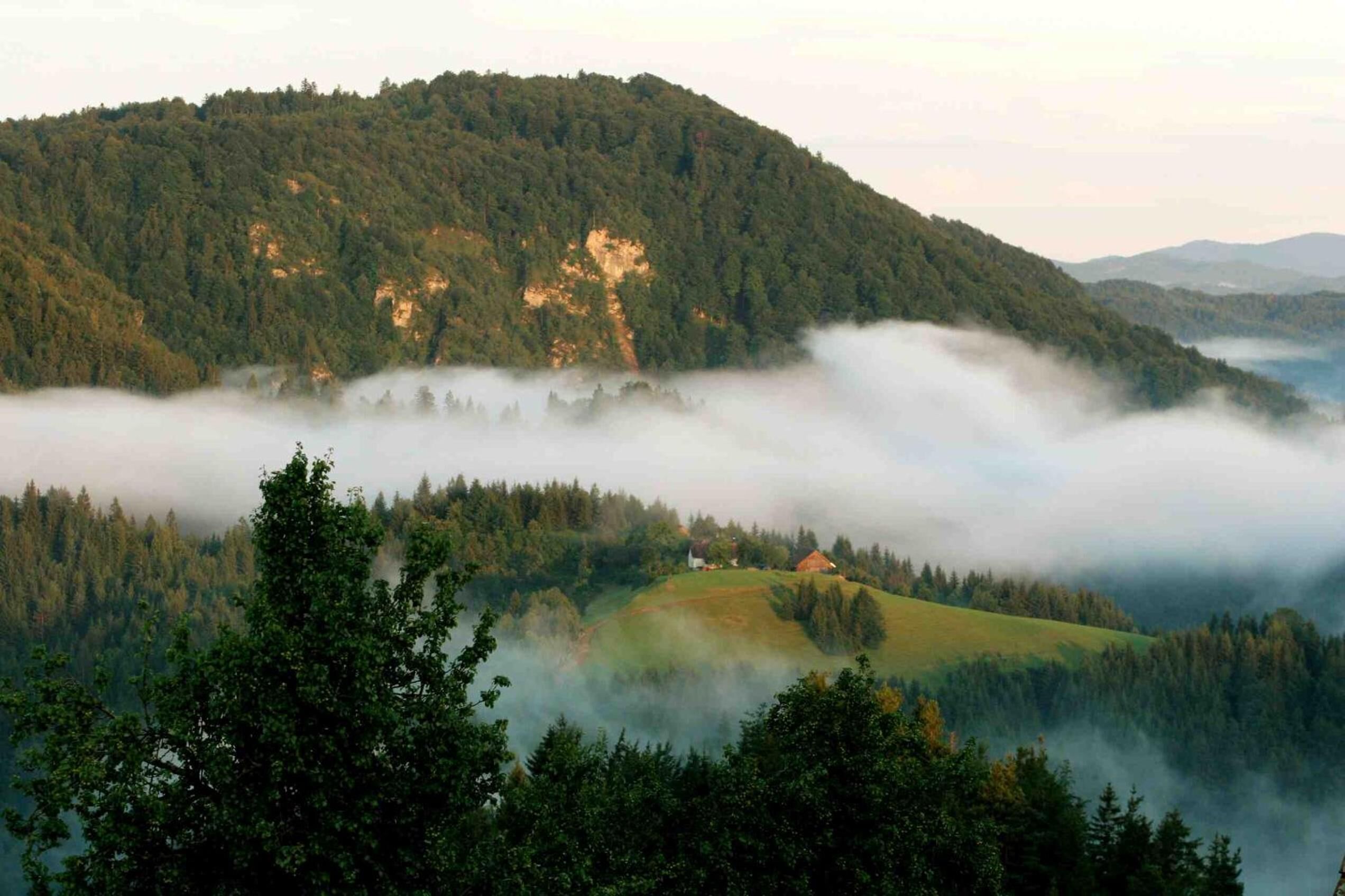 A mountainous landscape with a house nestled among trees, surrounded by fog.