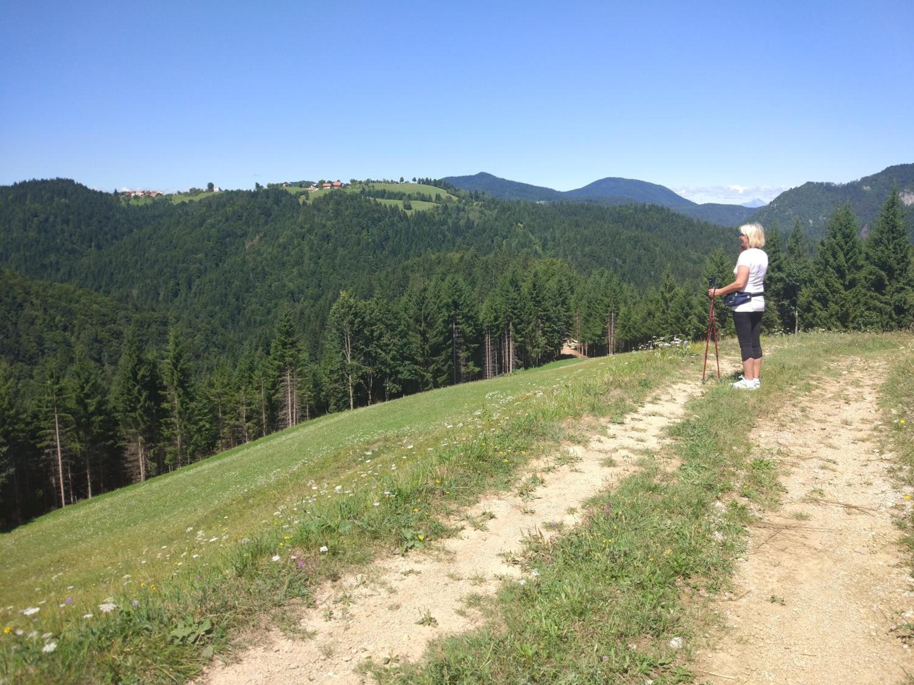 A person hiking on a dirt path with a forested mountain backdrop.
