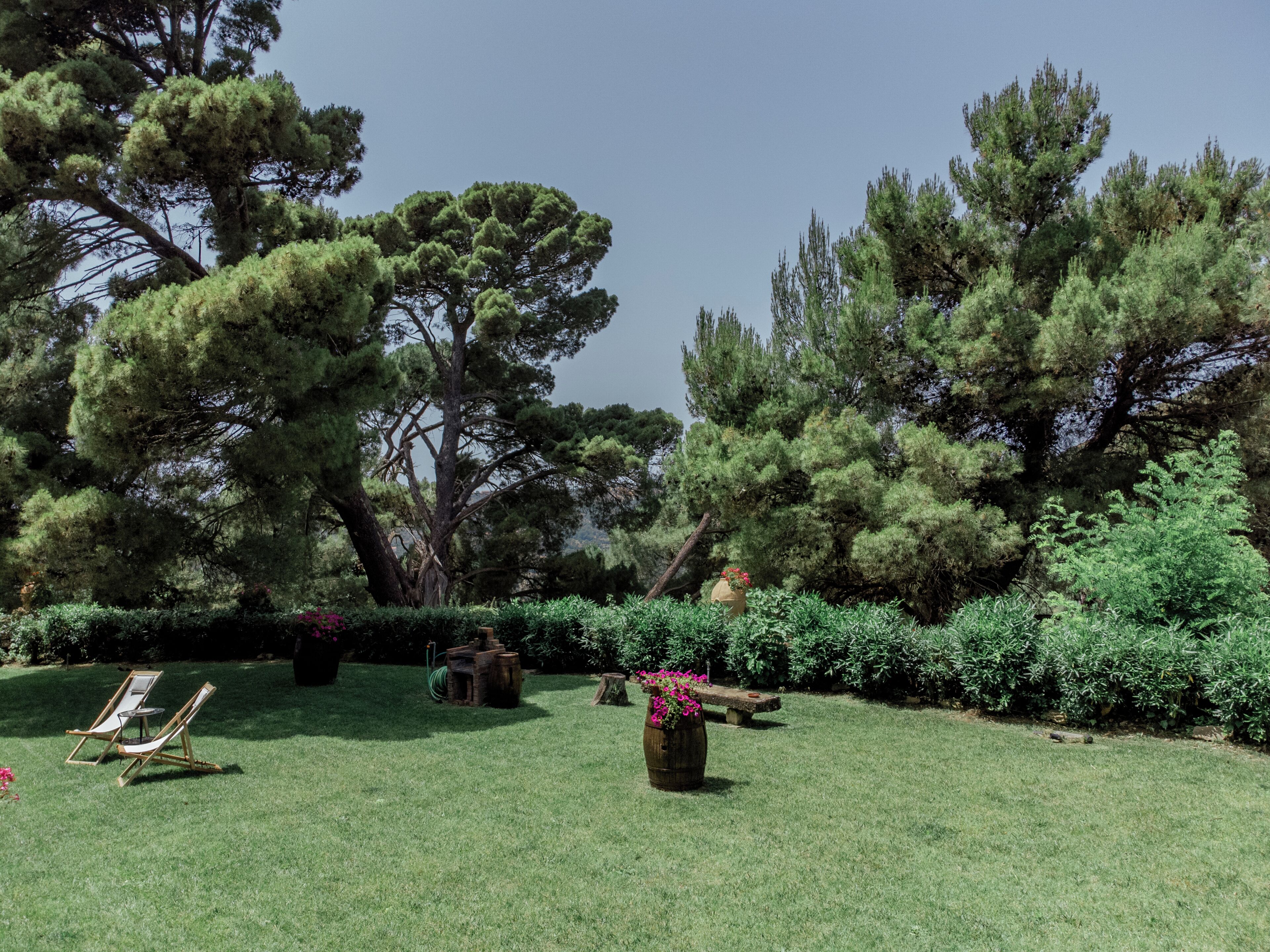 A well-maintained garden with a lawn, a wooden bench, and a large tree.