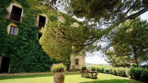 A building with ivy-covered walls, a large tree, and a grassy lawn with a table and chairs. - Palazzo Mazziotti (Pollica)