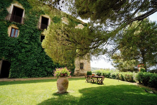 A building with ivy-covered walls, a large tree, and a grassy lawn with a table and chairs.