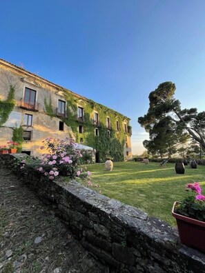 Garden - Palazzo Mazziotti (Pollica)