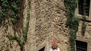A stone building with ivy-covered walls and a large flower pot in front. - Palazzo Mazziotti (Pollica)