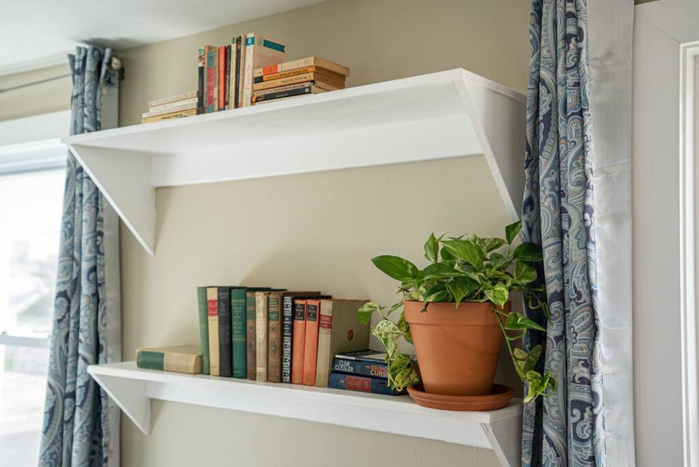 Una estantería con libros y una planta en maceta.