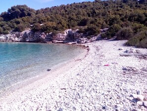 Camastros y toallas de playa 