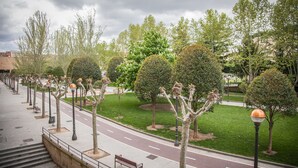 Un parque con un sendero pavimentado, bancos y árboles.