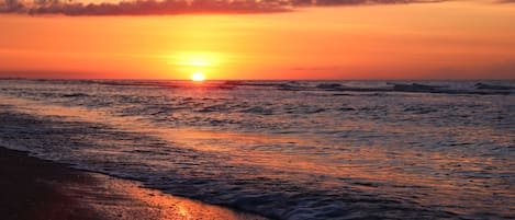 Plage, chaises longues