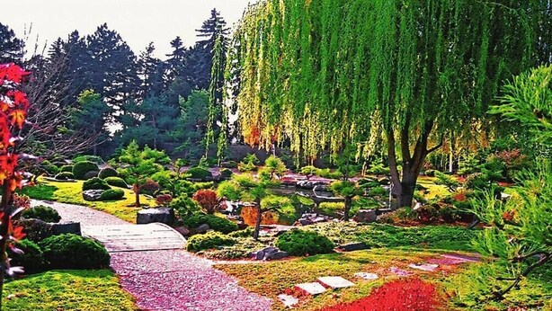 A garden with a winding path, neatly trimmed bushes, and a variety of trees. - Meadowlark Apartment - 10 min to Denver, 1 hr to Mnts/skiing (Lakewood)